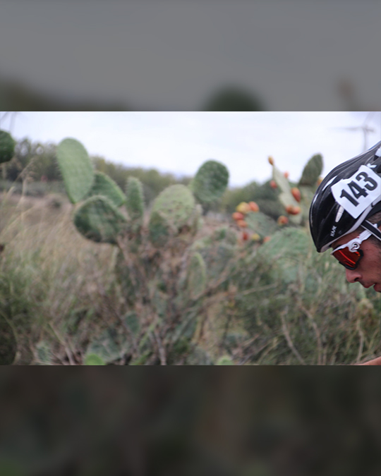 IL SULCIS IGLESIENTE IL SULCIS IGLESIENTE